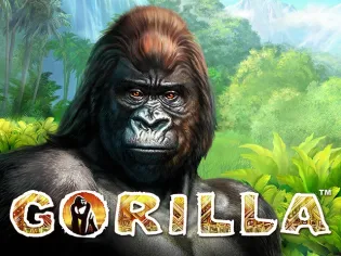 Gorilla thumbnail
